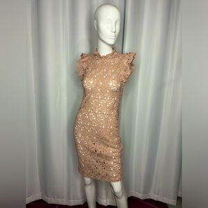 Zara Nude Lace Dress